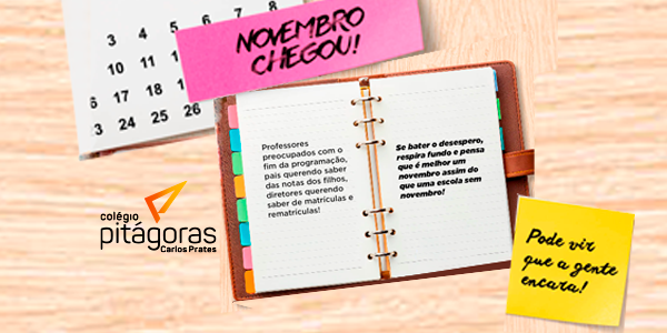 Novembro: O Mês da Colheita e da Superação